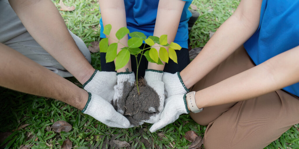 Schmuckbild zum Thema Caritas Fokusberatung KLimaschutz